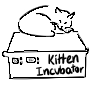 Kitten Incubator