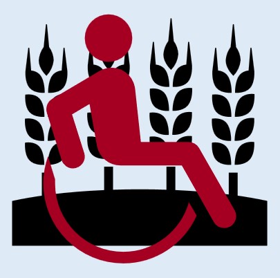 logo 15 2023