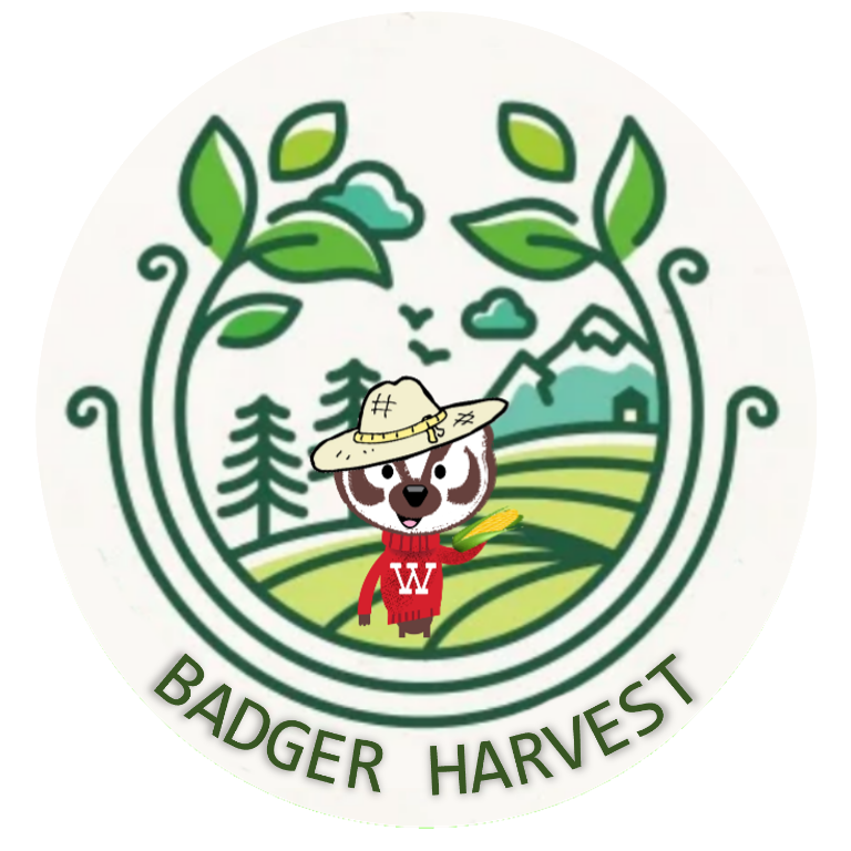 logo28 2021