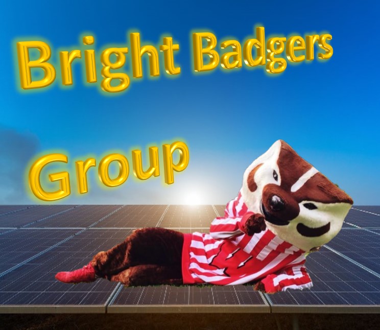 Bright Badgers Group