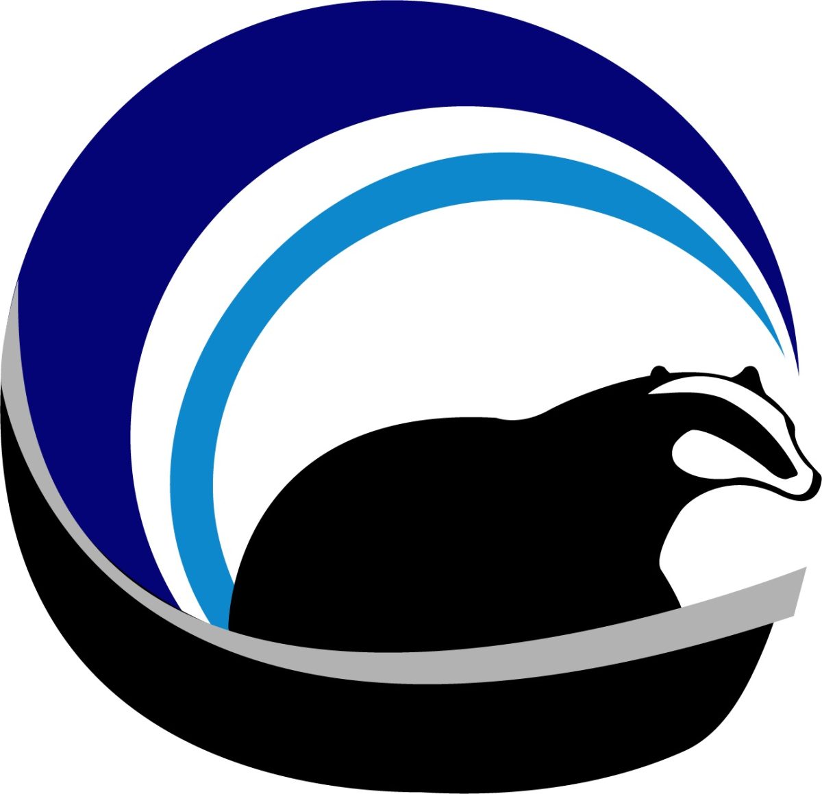 BadgerBOAT (Team 1)