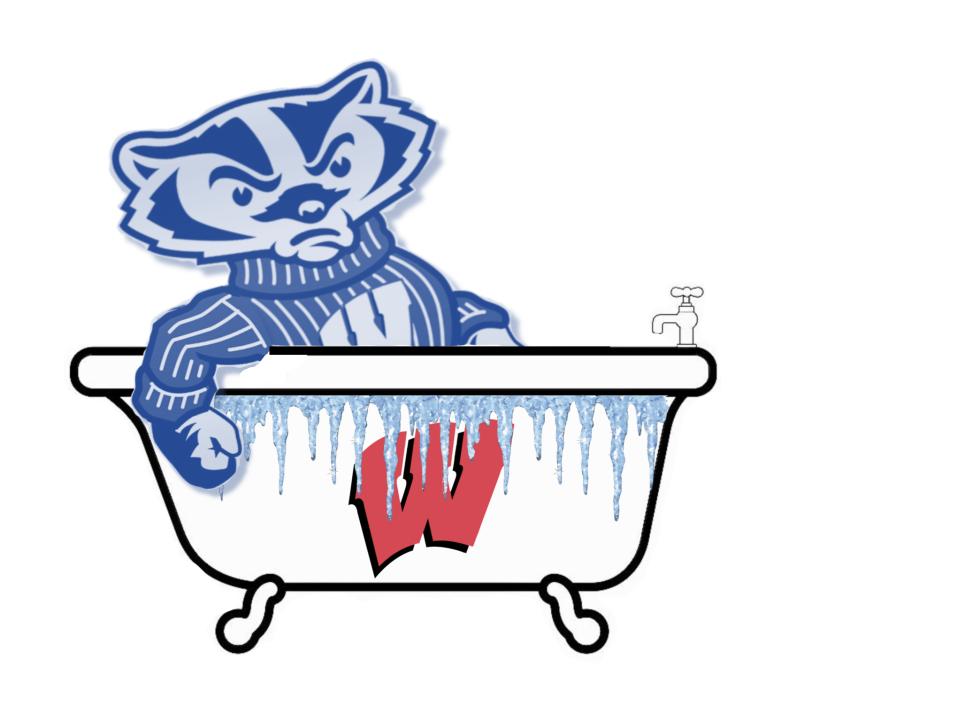 Bitter Cold Badgers