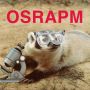 OSRAPM