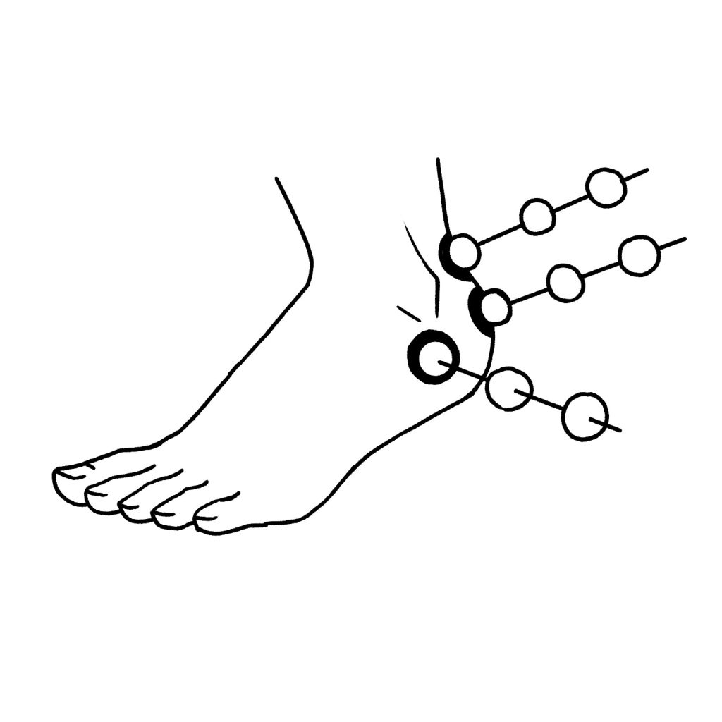 logo66_sp25